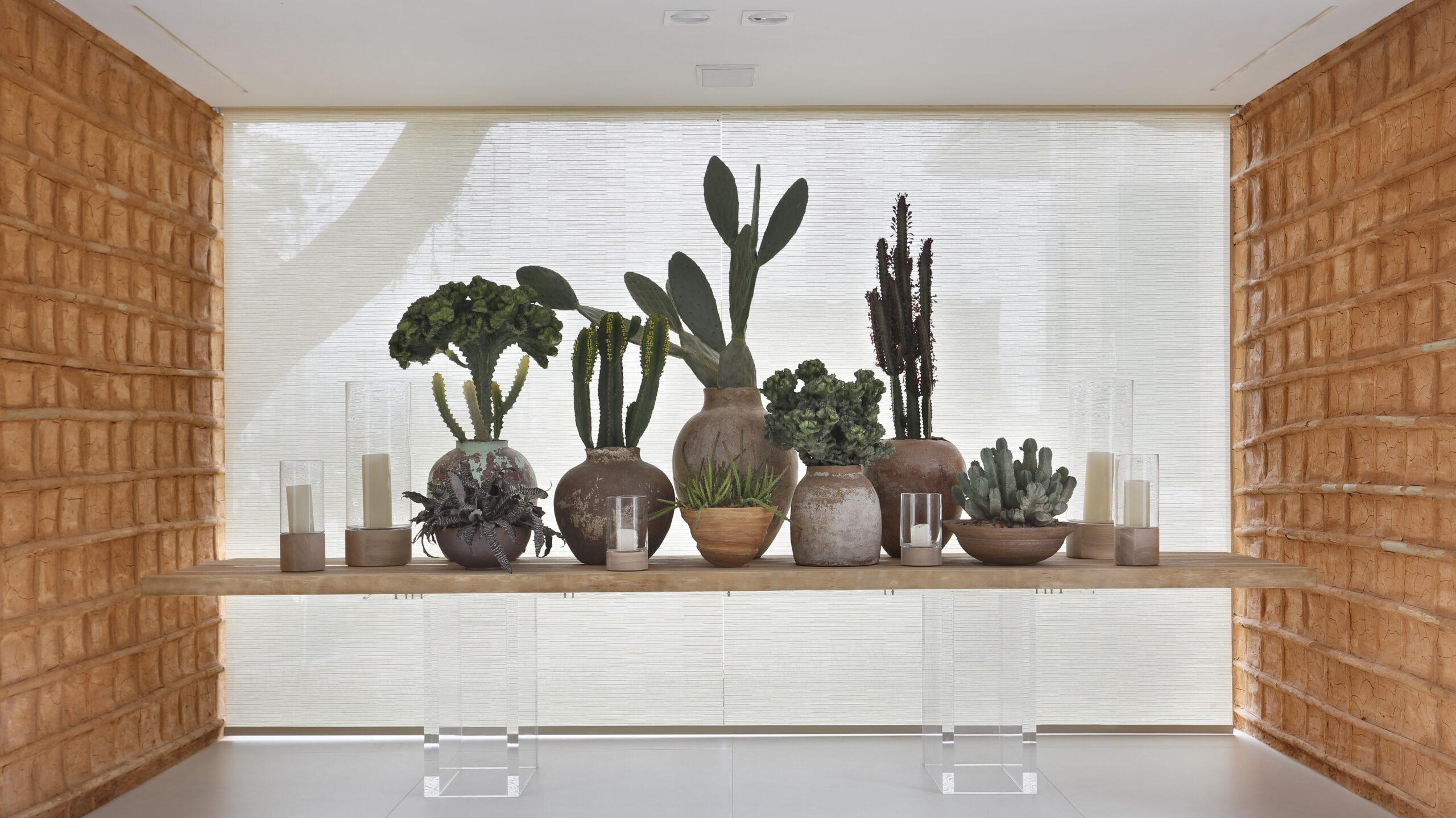 Plantas e suculentas na decoração de casa